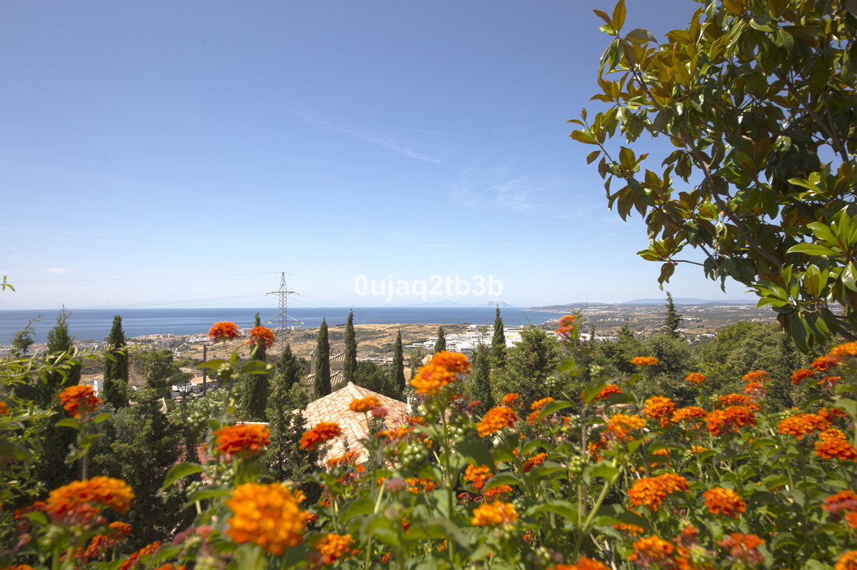 Estepona